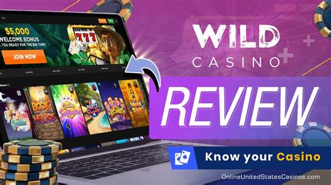 wild casino review,Mais